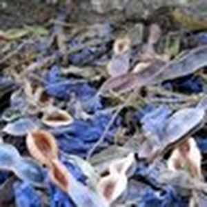 Meet your Posher, Salma